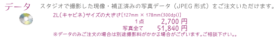 データは1点からお買い求めいただけます